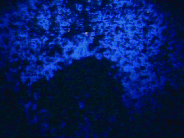 UV image of LNAPL fluorescence